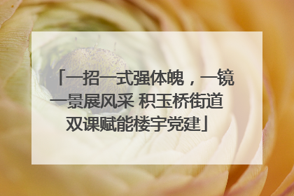 一招一式强体魄，一镜一景展风采 积玉桥街道双课赋能楼宇党建