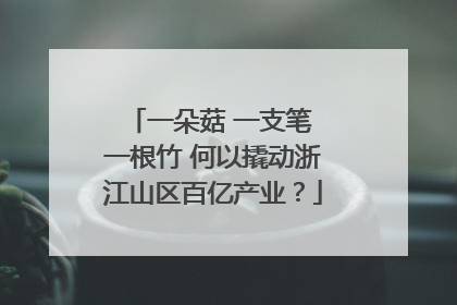一朵菇 一支笔 一根竹 何以撬动浙江山区百亿产业？