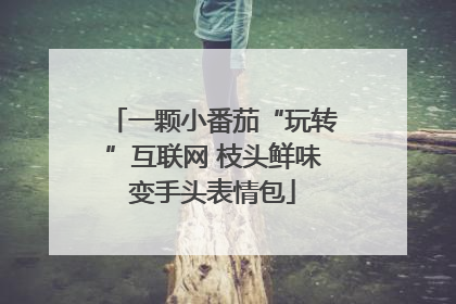一颗小番茄“玩转”互联网 枝头鲜味变手头表情包