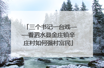 三个书记一台戏——看泗水县金庄镇辛庄村如何强村富民