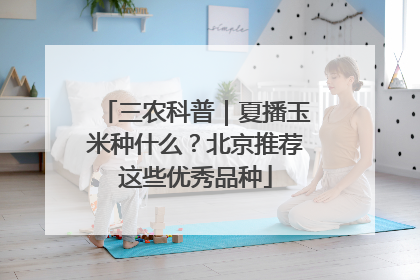 三农科普｜夏播玉米种什么？北京推荐这些优秀品种