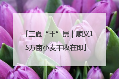 三夏“丰”景｜顺义15万亩小麦丰收在即