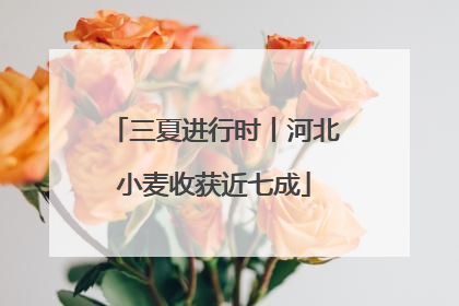 三夏进行时丨河北小麦收获近七成