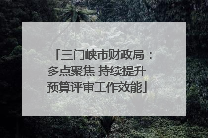 三门峡市财政局：多点聚焦 持续提升预算评审工作效能