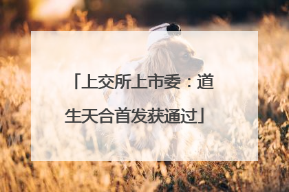 上交所上市委：道生天合首发获通过