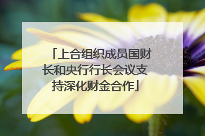 上合组织成员国财长和央行行长会议支持深化财金合作