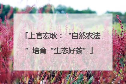上官宏耿：“自然农法”培育“生态好茶”