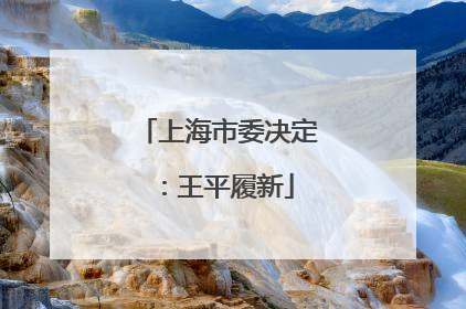 上海市委决定：王平履新