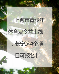 上海市青少年体育夏令营上线，长宁这4个项目可报名