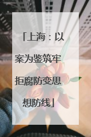 上海：以案为鉴筑牢拒腐防变思想防线