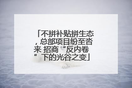 不拼补贴拼生态，总部项目纷至沓来 招商“反内卷”下的光谷之变