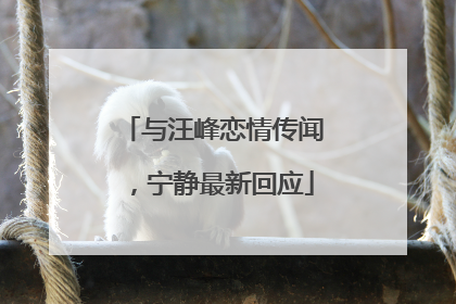 与汪峰恋情传闻，宁静最新回应