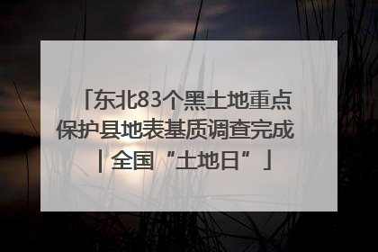 东北83个黑土地重点保护县地表基质调查完成｜全国“土地日”