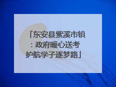 东安县紫溪市镇：政府暖心送考 护航学子逐梦路