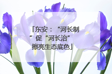 东安：“河长制”促“河长治” 擦亮生态底色