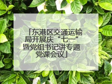 东港区交通运输局开展庆“七一”暨党组书记讲专题党课会议