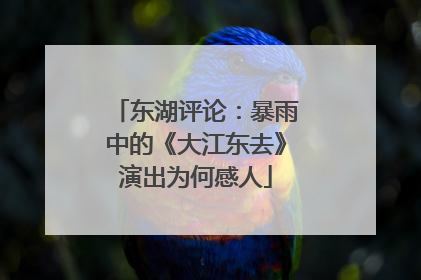 东湖评论：暴雨中的《大江东去》演出为何感人