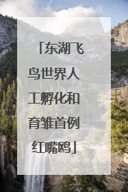 东湖飞鸟世界人工孵化和育雏首例红嘴鸥