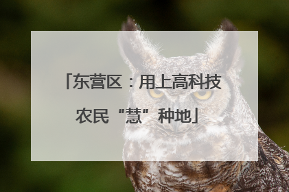 东营区：用上高科技 农民“慧”种地