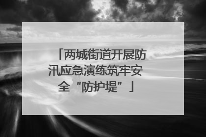 两城街道开展防汛应急演练筑牢安全“防护堤”