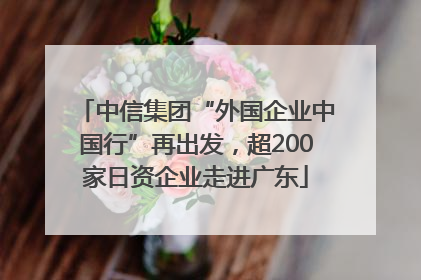 中信集团“外国企业中国行”再出发，超200家日资企业走进广东