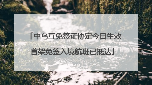 中乌互免签证协定今日生效 首架免签入境航班已抵达