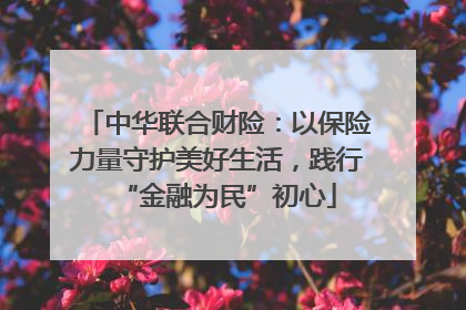 中华联合财险：以保险力量守护美好生活，践行“金融为民”初心