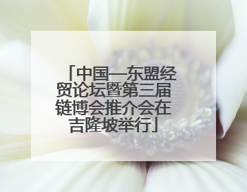 中国—东盟经贸论坛暨第三届链博会推介会在吉隆坡举行