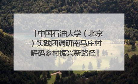 中国石油大学（北京）实践团调研南马庄村解码乡村振兴新路径