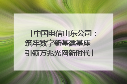 中国电信山东公司：筑牢数字新基建基座 引领万兆光网新时代