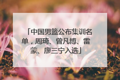中国男篮公布集训名单，周琦、曾凡博、雷蒙、廖三宁入选