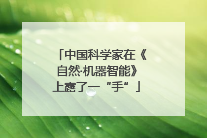 中国科学家在《自然·机器智能》上露了一“手”