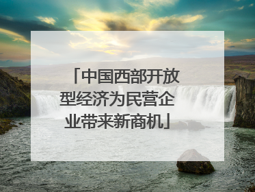 中国西部开放型经济为民营企业带来新商机