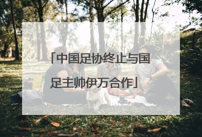 中国足协终止与国足主帅伊万合作