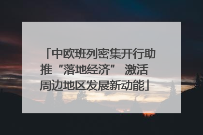 中欧班列密集开行助推“落地经济” 激活周边地区发展新动能