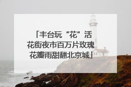 丰台玩“花”活 花街夜市百万片玫瑰花瓣雨甜翻北京城