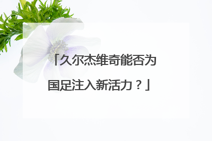 久尔杰维奇能否为国足注入新活力？