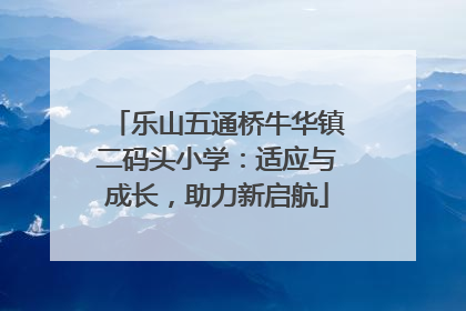 乐山五通桥牛华镇二码头小学：适应与成长，助力新启航