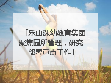 乐山洙幼教育集团聚焦园所管理，研究部署重点工作