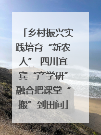 乡村振兴实践培育“新农人” 四川宜宾“产学研”融合把课堂“搬”到田间