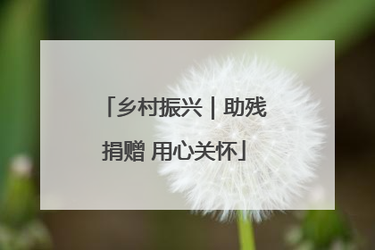 乡村振兴｜助残捐赠 用心关怀