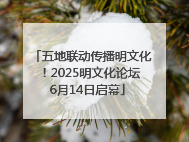 五地联动传播明文化！2025明文化论坛6月14日启幕