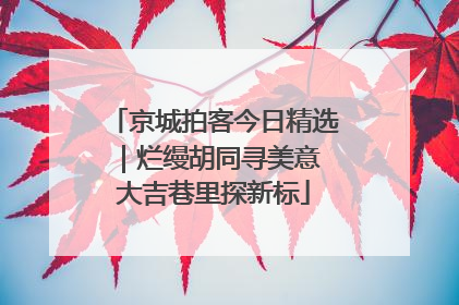 京城拍客今日精选｜烂缦胡同寻美意 大吉巷里探新标