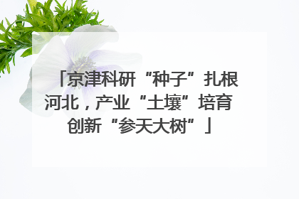 京津科研“种子”扎根河北，产业“土壤”培育创新“参天大树”