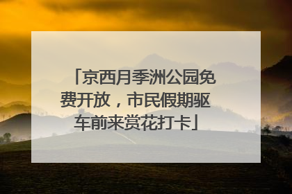 京西月季洲公园免费开放，市民假期驱车前来赏花打卡