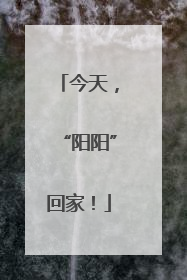 今天，“阳阳”回家！