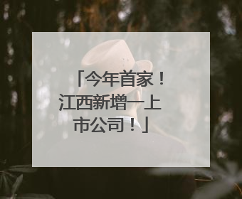 今年首家！江西新增一上市公司！