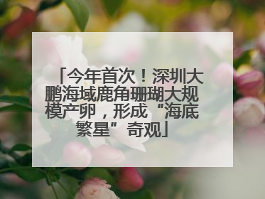 今年首次！深圳大鹏海域鹿角珊瑚大规模产卵，形成“海底繁星”奇观