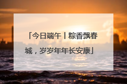 今日端午丨粽香飘春城，岁岁年年长安康