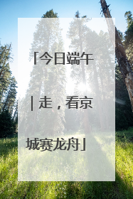 今日端午｜走，看京城赛龙舟